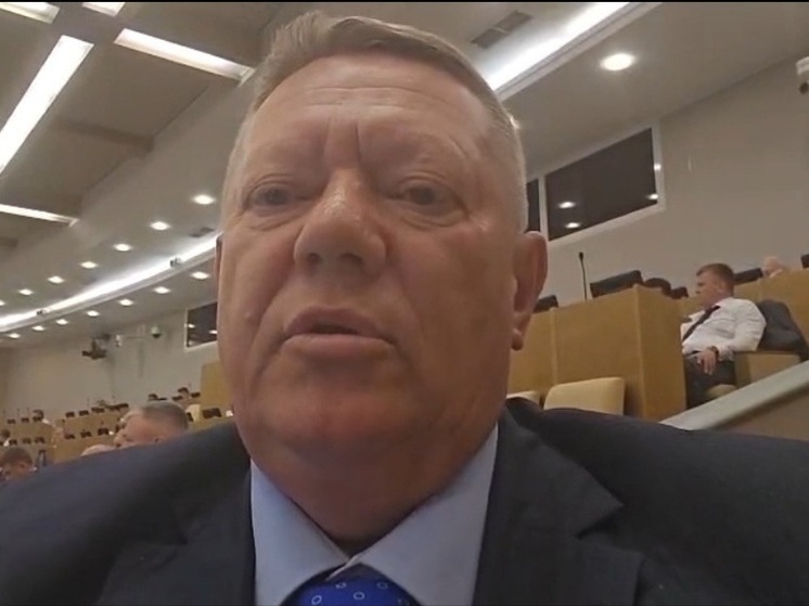 Панков: В первом чтении принят законопроект о лишении мигрантов гражданства за преступления