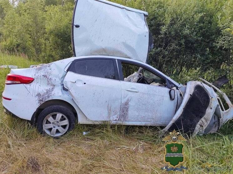 Четырёхлетний малыш пострадал в ДТП под Калугой