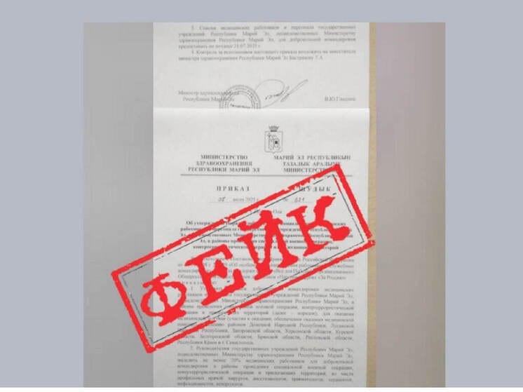 В правительстве Марий Эл назвали фейком приказ об отправке медиков на СВО