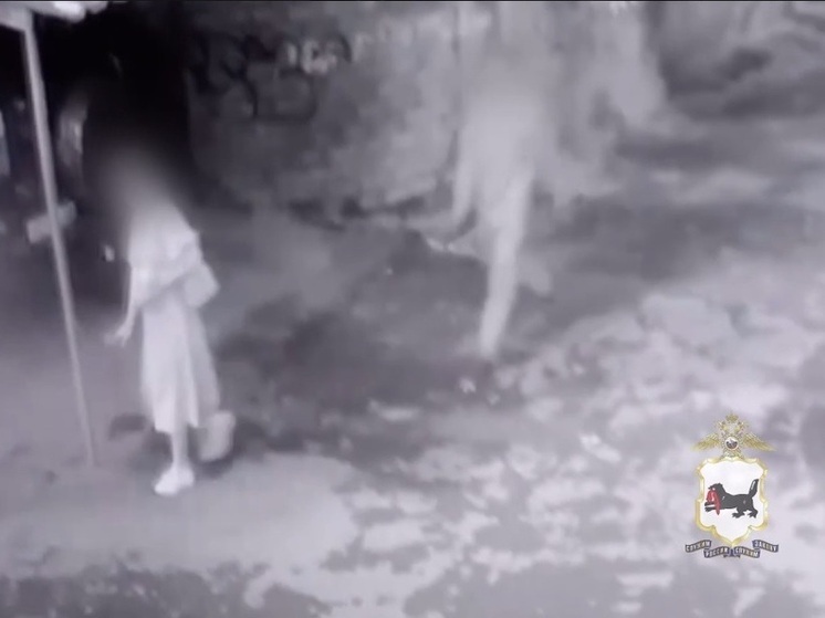 Серийного грабителя задержали в Иркутске