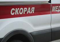 Стали известны новые детали ДТП в Московской области, где в столкновении автомашин «БМВ» и «Хендэ» 2 человека погибли и 8 пострадали