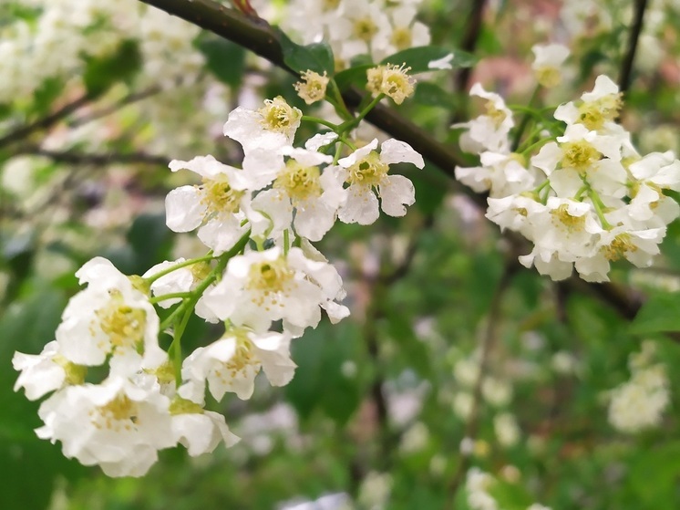 Антициклон покидает Приморье: во Владивостоке усилится ветер и спадет жара