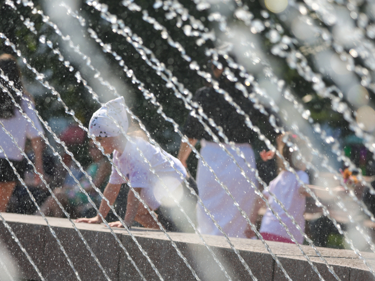 Tishkovets: Moscow air will heat up to +33 degrees on Wednesday