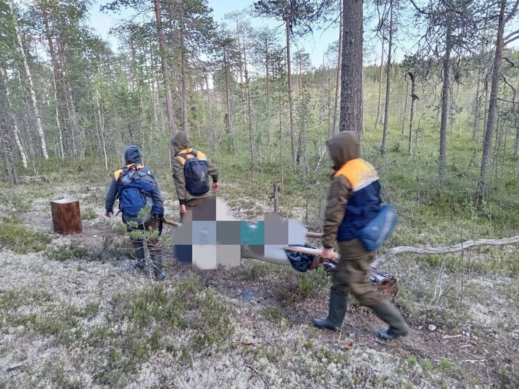 В Карелии на берегу озера обнаружили тело пропавшего рыбака