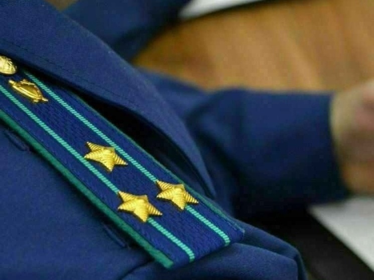 В Запорожской области осуждён молодой человек за незаконную рубку леса