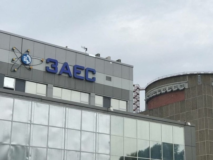 Суд взыскал с бывших сотрудников ЗАЭС более 4 млн рублей неосновательного обогащения