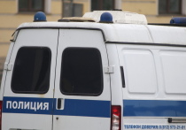 Трагедия произошла в поселке Лужайка Выборгского района Ленинградской области, где на собственном участке были обнаружены тела супружеской пары, сообщает телеграм-канал 78