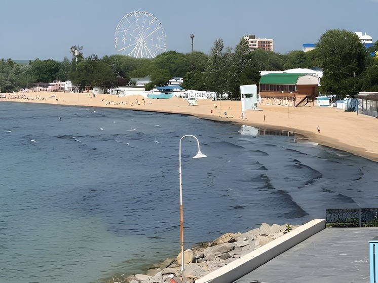 Черный цвет водорослей в Анапе не связан с мазутом