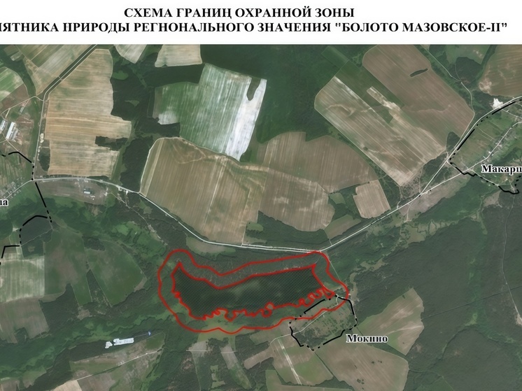 Нижегородское болото взяли под защиту государства