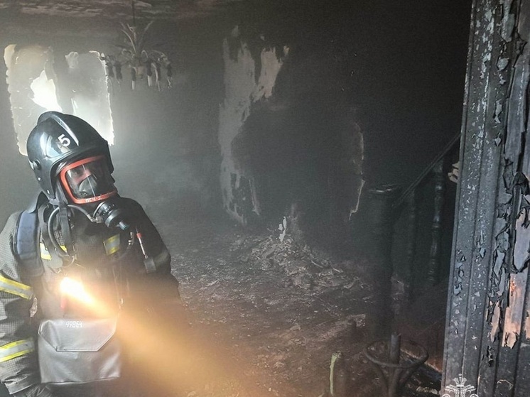  В деревне Помогалово под Тулой ликвидирован пожар в жилом доме