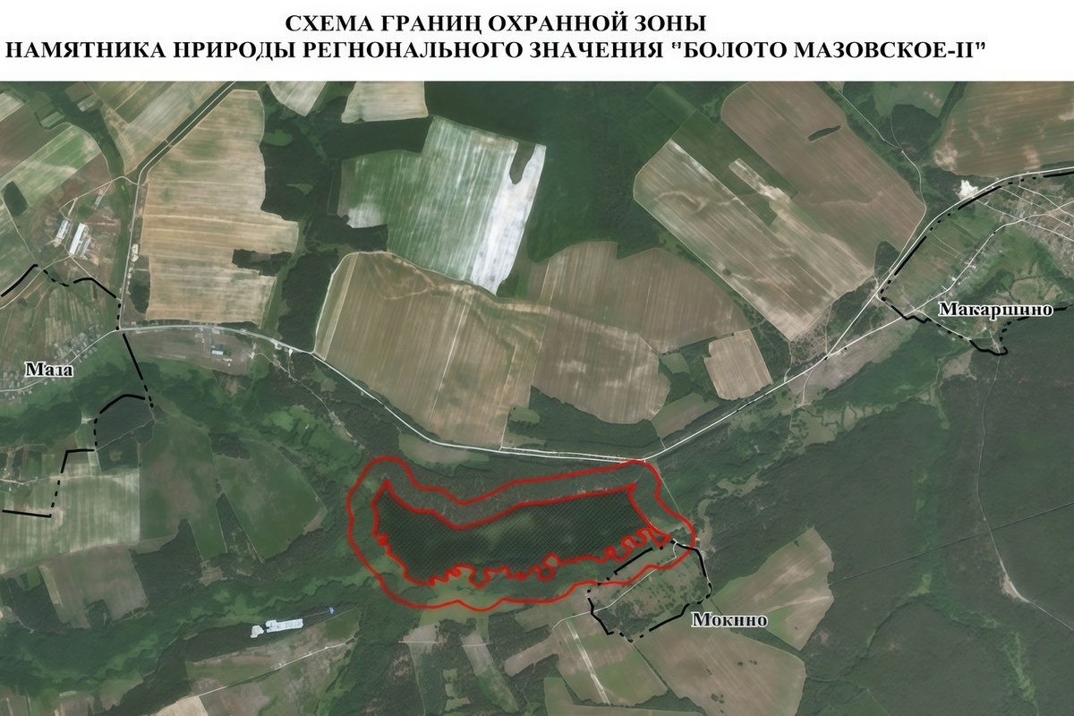 Нижегородское болото взяли под защиту государства