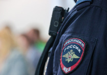 Кражу дорожных ограждений, совершенную в московском районе Сокольники, раскрыли сотрудники полиции