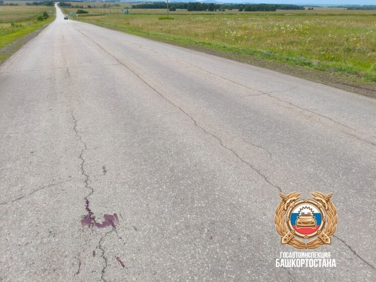 В Башкирии на пятые сутки скончался попавший в аварию 17-летний пассажир питбайка