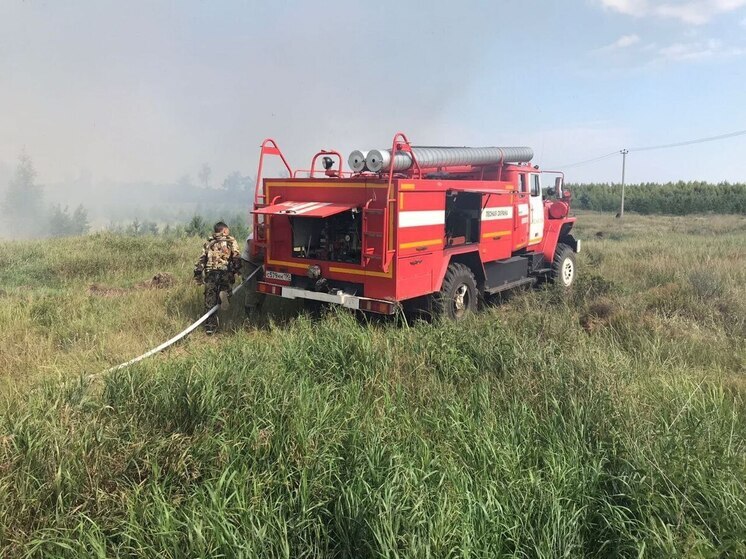 Лесной пожар ликвидировали огнеборцы в Луховицах