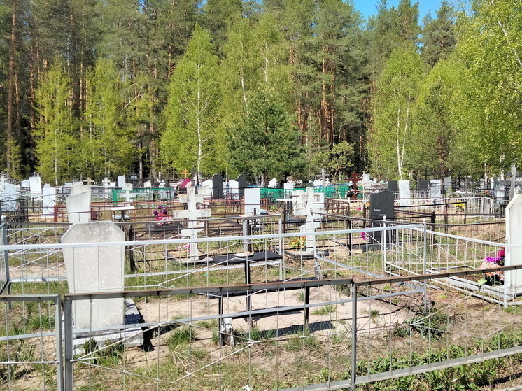 Священники объяснили, какие цветы следует приносить на могилу усопших