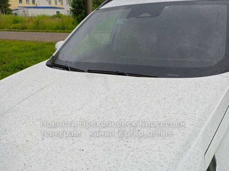 Чёрные осадки зафиксированы в одном из городов Кузбасса