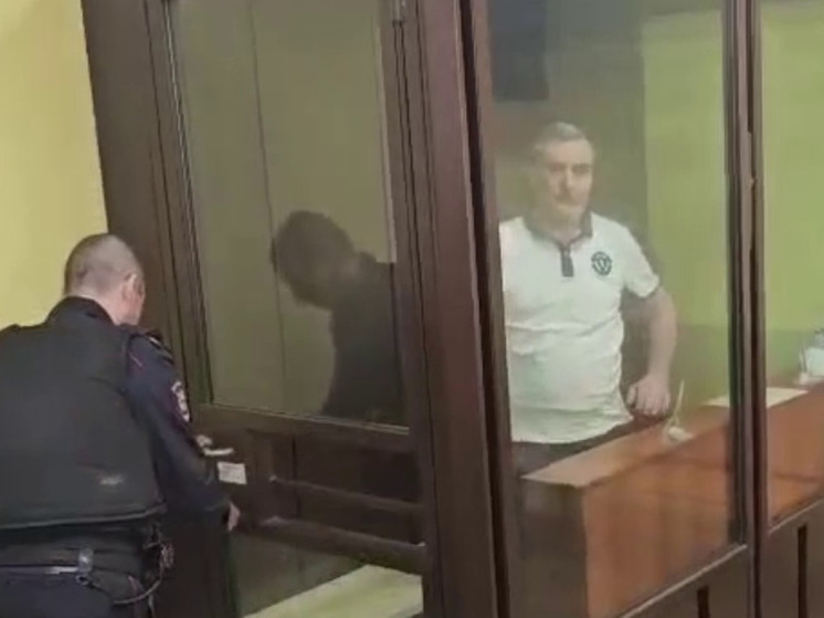 В Видном вынесли приговор мужчине за убийство бизнесмена и незаконный оборот оружия