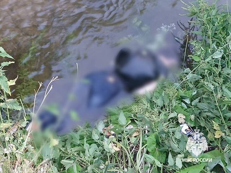 В Башкирии из воды достали тела мужчины и женщины