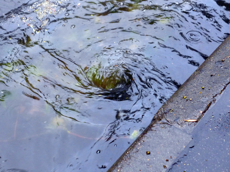 В Подмосковье сегодня вновь возможны грозы, местами даже с градом