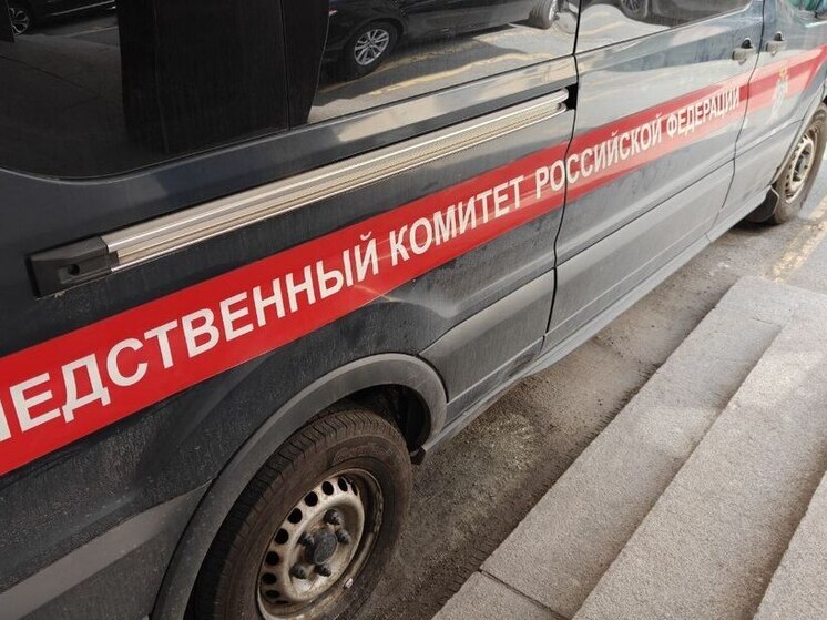 Бастрыкин взял на контроль дело инвалида из Ловозера
