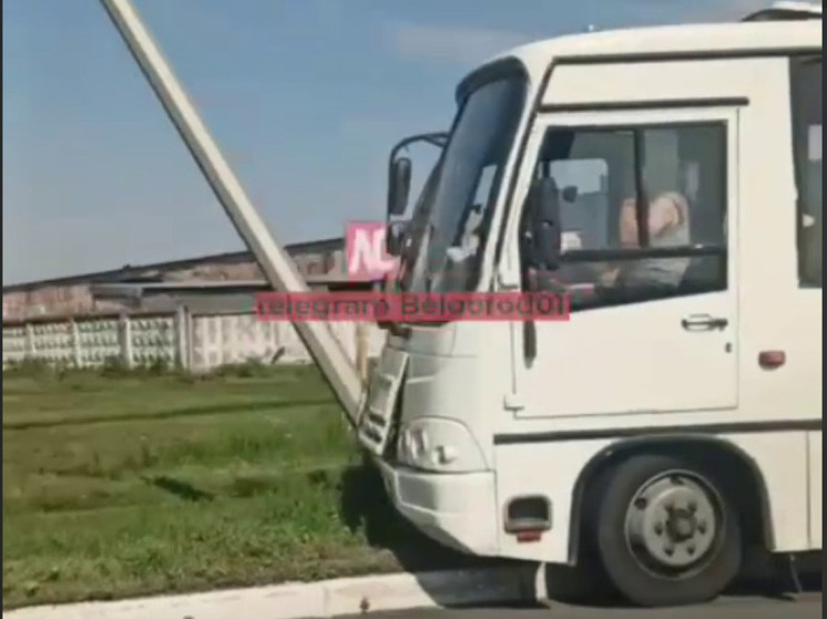 Под Белгородом автобус въехал в столб