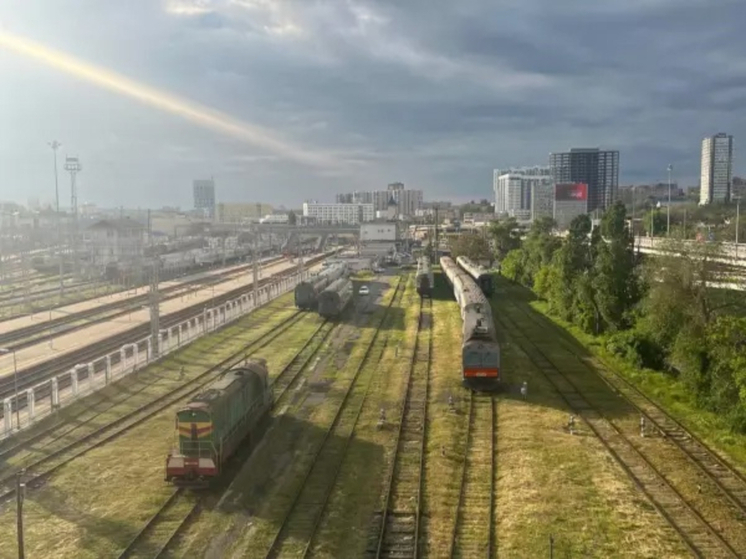 В Ростовской области подростки остановили поезд