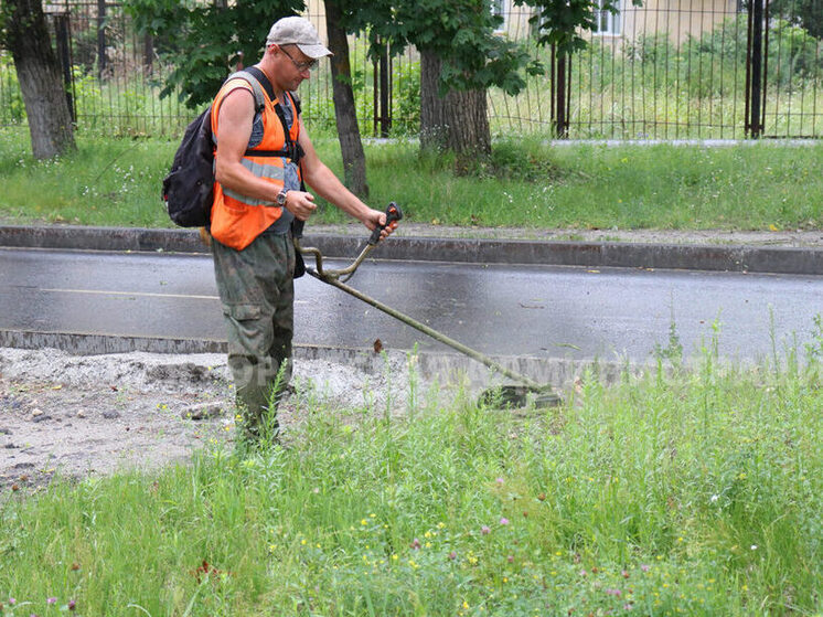 В Брянске за день скосили 90 тысяч кв. метров травы