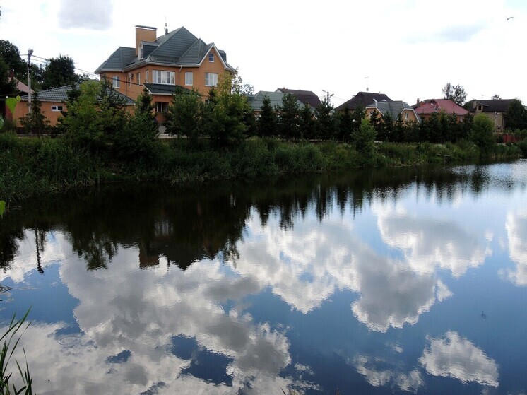 Нашествие комаров, а также мошкары обещают в Подмосковье к выходным