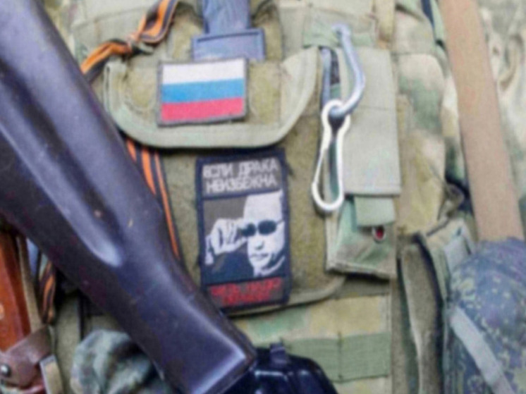 Минобороны: ВС РФ заняли населенный пункт Толстой в ДНР