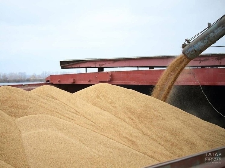 За пять лет экспорт сельхозпродукции Татарстана составил свыше 2 млрд долларов