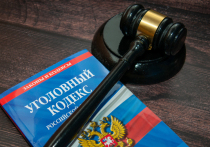 В Приморском крае, как сообщает Mash, суд избрал меру пресечения 16-летнему подростку, который выстрелил из пневматического пистолета в глаз 13-летнему мальчику