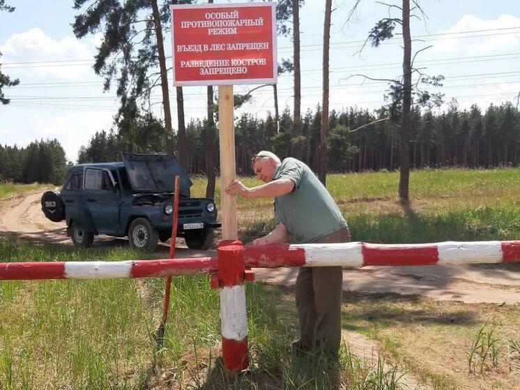 В лесах Воронежской области установили шлагбаумы и информационные знаки