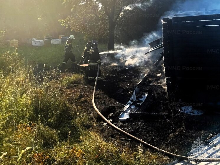 Пожарные спасли пасеку в Цивильском округе