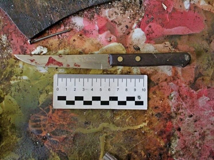 В Зауралье мужчину будут судить за убийство сожительницы