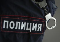 Директор Московского художественного академического театра (МХАТ) и художественный руководитель Михайловского театра Владимир Кехман задержан после возвращения в Россию
