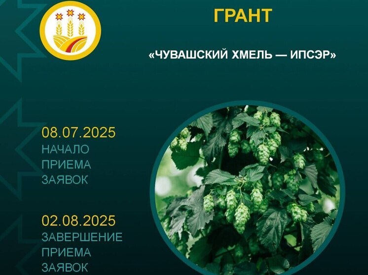 В Чувашии стартовал приём заявок на грант «Чувашский хмель – ИПСЭР»