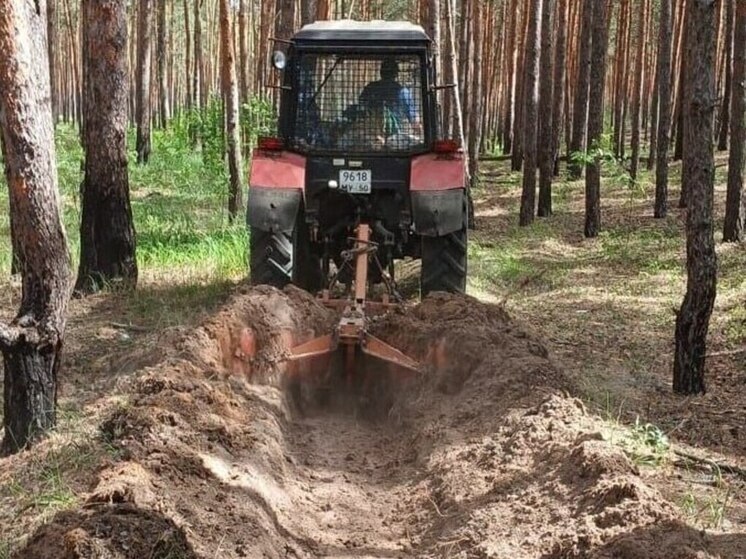 Свыше 50% специальных минерализованных полос прочистили в лесах региона