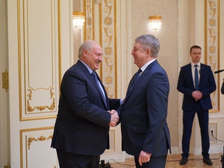 Белорусский президент поблагодарил Брянщину за помощь в сельском хозяйстве