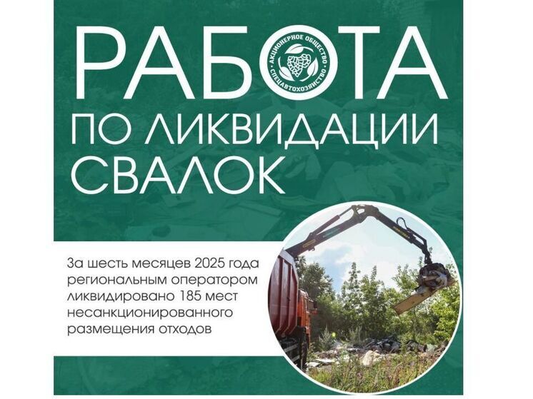 За первую половину 2025 года в Смоленске ликвидировано 185 свалок