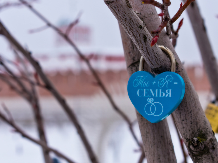 В Тульской области почти 900 жителей участвуют в конкурсе «Это у нас семейное»