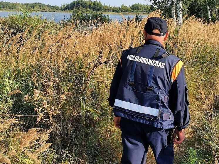 Заблудившихся пенсионерок вывели из леса подмосковные спасатели