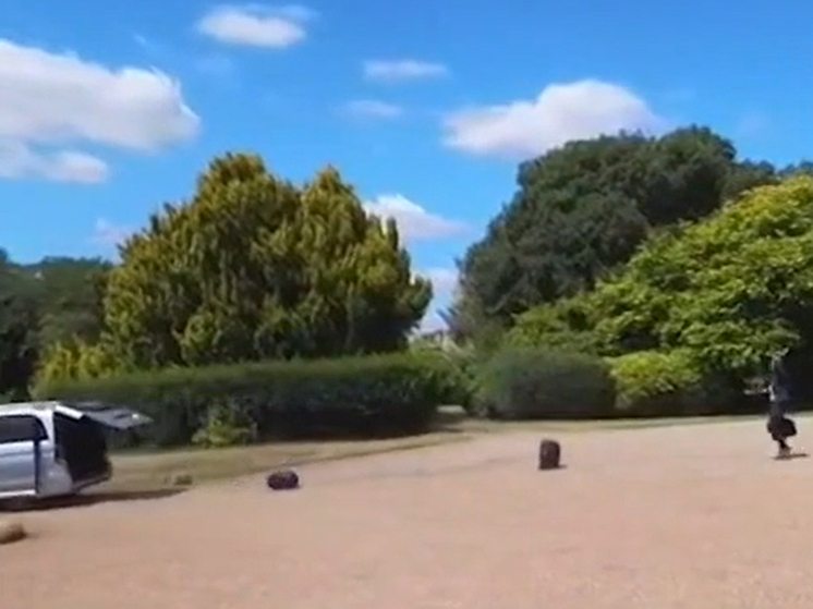 Визит Макрона в Великобританию обернулся дорожной сценкой с багажом