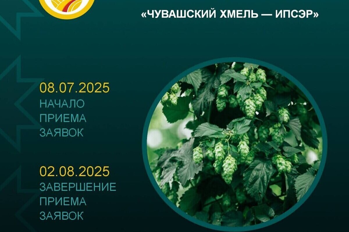 В Чувашии стартовал приём заявок на грант «Чувашский хмель – ИПСЭР»