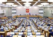 Госдума объявила бой потребительскому экстремизму в пунктах выдачи заказов, контрафакту на маркетплейсах и принудительным скидкам, которые помимо воли продавцов предлагают владельцы онлайн-платформ
