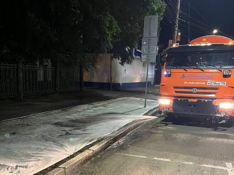 Деревья и газоны усиленно поливают в Воронеже из-за жары