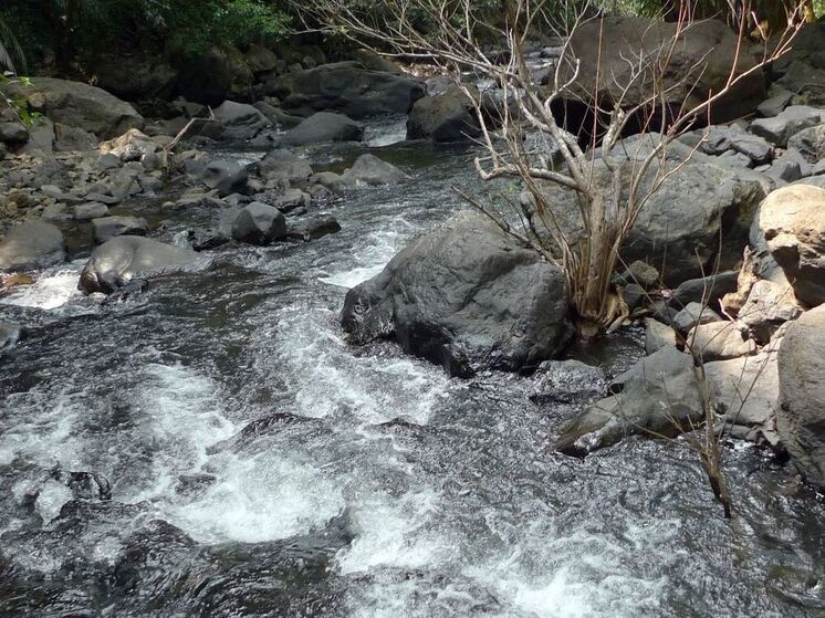 Пропавшую на Камчатке туристку из Подмосковья нашли живой и здоровой