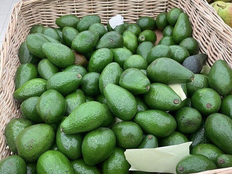 Жителям Хакасии рассказали, что спелый авокадо тяжелее и плотнее