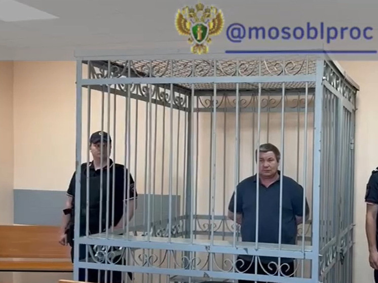 Пять лет колонии получил виновнный в смертельногм ДТП на трассе М-2 под Серпуховом