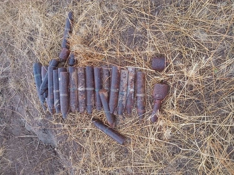 В Дубовском районе Ростовской области обезвредили боеприпасы времен ВОВ
