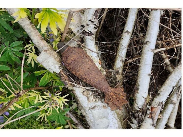 В Дорогобужском районе обезврежены двенадцать минометных мин времен войны